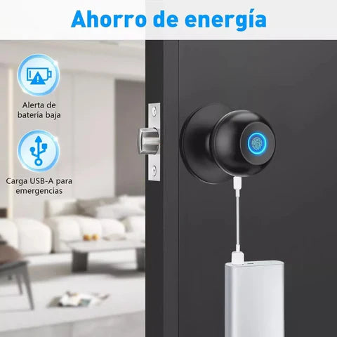 Cerradura inteligente Tuya para puertas de casa, llave 3 en 1, acceso mediante huella dactilar - COLOR NEGRO